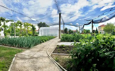 a garden with a greenhouse and a sidewalk at Apartments Andrej - Optuj in Ptuj