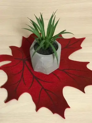a plant sitting on top of a red leaf at Apartma Tjaša-Terme Čatež in Čatež ob Savi