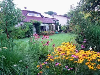 a garden with flowers in front of a house at Apartma Golob in Zgornja Kungota