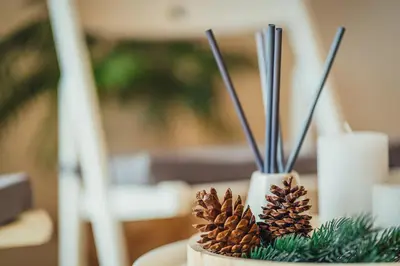 a table with two pine cones in a vase at Apartment Via Mons in Kranjska Gora