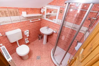 a bathroom with a shower and a toilet and a sink at Zelena Oaza - B&B in Miklavž pri Ormožu