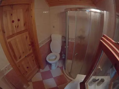 a small bathroom with a toilet and a shower at Velika planina Chalet SLOVENKA in Stahovica