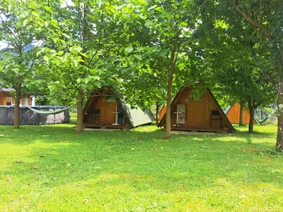 two tents in a field under some trees at GLAMPING HIŠKe PETRIN in Tolmin