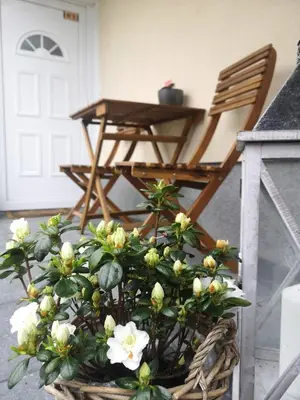 a basket of flowers in front of a chair at Alpine Joy Apartments in Bohinj