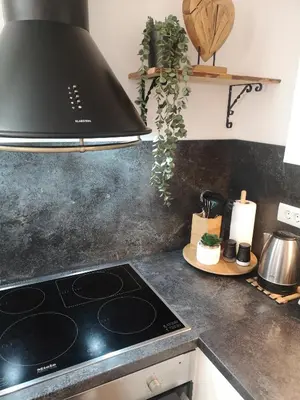 a kitchen with a stove top oven in a kitchen at Alpine Joy Apartments in Bohinj