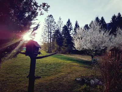 a bird house on a pole in a field with trees at Apartments and Rooms Milena in Kranjska Gora