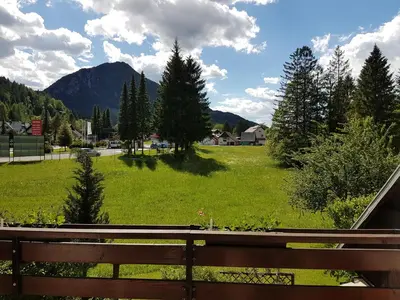 a view of a green field with trees and mountains at Apartments and Rooms Milena in Kranjska Gora