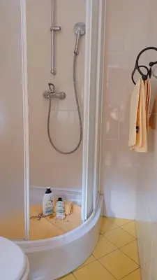 a shower stall in a bathroom with a toilet at Apartments Bobi in Tolmin