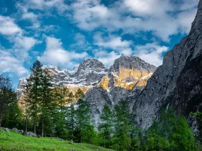 a mountain range with trees in front of it at Cottages Kravanja in Trenta