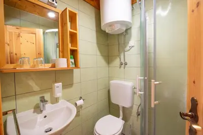 a bathroom with a sink and a toilet and a shower at Cottages Kravanja in Trenta