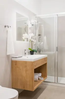 a bathroom with a sink and a shower at Vila Emona - Central Apartments - Free Parking in Ljubljana