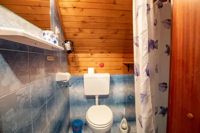 a small bathroom with a toilet in a house at Sobe Ličef in Bohinj