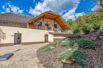 a house with a thatched roof and a patio at Bajsova domačija in Podčetrtek