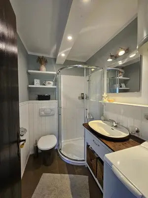 a bathroom with a shower and a sink and a toilet at Martin's Family Cottage with Hot Tub & Views in Šmarje pri Jelšah