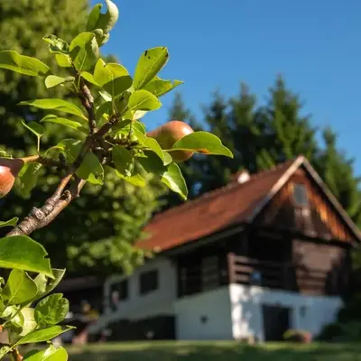 Martin's Family Cottage with Hot Tub & Views