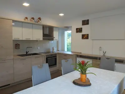 a kitchen with a table with a plant on it at Divača, Vila Srebrna in Divača