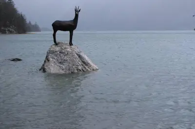 a deer standing on a rock in the water at Bohinj - Apartment Ana in Bohinj