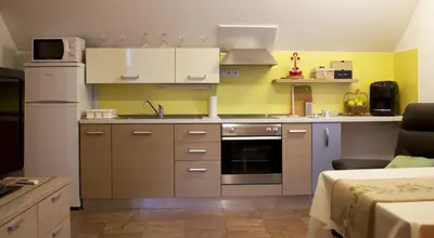 a kitchen with a sink and a stove at Apartma Pegaz in Rogaška Slatina