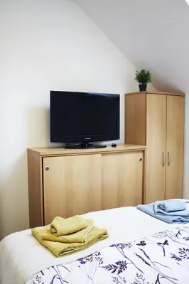 a bedroom with a bed with a television on a cabinet at Apartma Pegaz in Rogaška Slatina