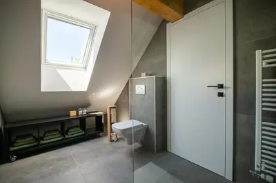 a bathroom with a toilet and a window at SKED'N in Bled