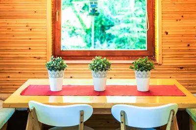 a wooden table with three potted plants on it at House Moose't Getaway, Kranjska Gora in Kranjska Gora