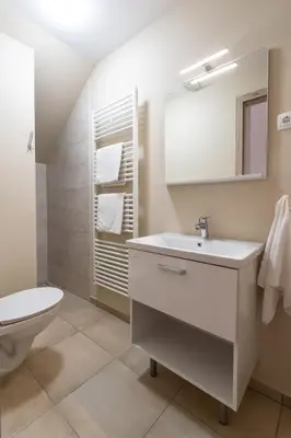a bathroom with a sink and a toilet at Apartments Janko in Bled