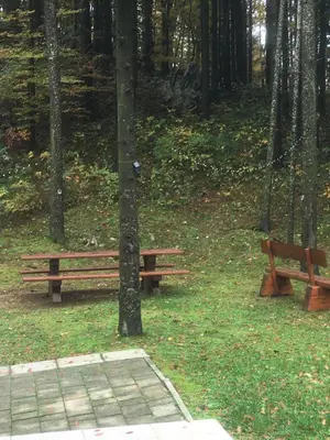 two wooden benches in a park with trees at Apartmaji Velikonja in Ajdovščina
