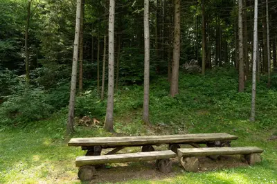 a wooden bench sitting in the middle of a forest at Apartmaji Velikonja in Ajdovščina