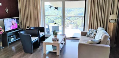 a living room with a couch and chairs and a tv at vakantiehuis Zidanica in Žužemberk