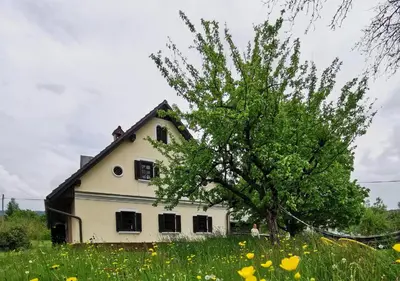 a white house with a tree in a field at Country House Pri Lipet Žiri in Žiri