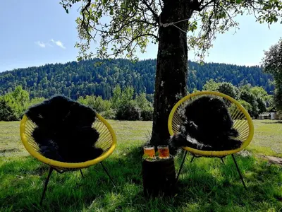 two dogs sitting in yellow chairs next to a tree at Country House Pri Lipet Žiri in Žiri