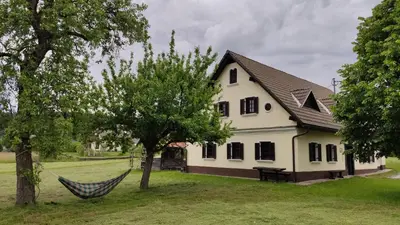 a hammock in front of a house at Country House Pri Lipet Žiri in Žiri