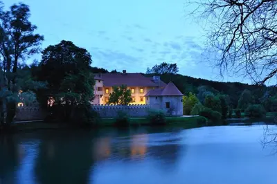 a house sitting on the side of a river at Hut at the forest in Male Brusnice