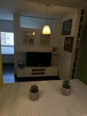 a living room with a flat screen tv and two plants at Park in Ljubljana