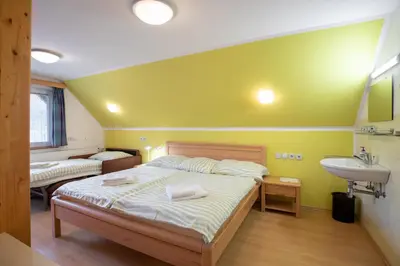 a bedroom with a bed and a sink and a sink at Apartma Košnik PERUNIKA in Bohinj