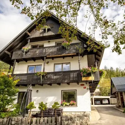 Apartma Košnik PERUNIKA