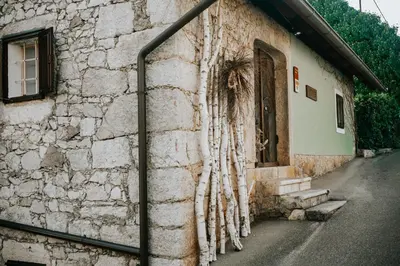 a building with a door with a tree growing out of it at Zidanica Lackner in Črnomelj