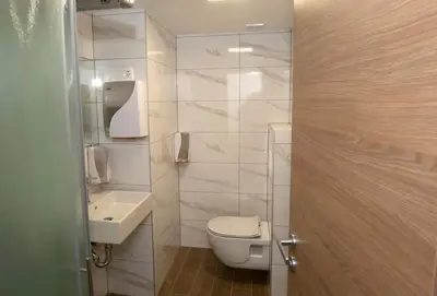 a small bathroom with a toilet and a sink at Dom na Slivnici in Cerknica