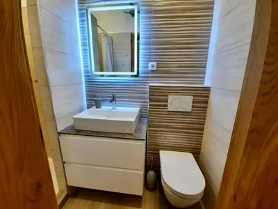 a bathroom with a sink and a toilet at Apartment Silver in Ljubljana