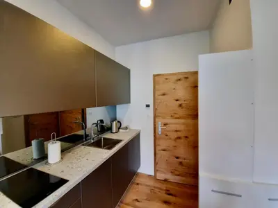 a kitchen with a sink and a wooden door at Apartment Silver in Ljubljana