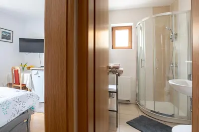 a bathroom with a shower and a sink at Apartma Lovor in Bohinj