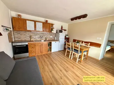 a kitchen and dining room with a table and chairs at Hurja Apartments in Kobarid
