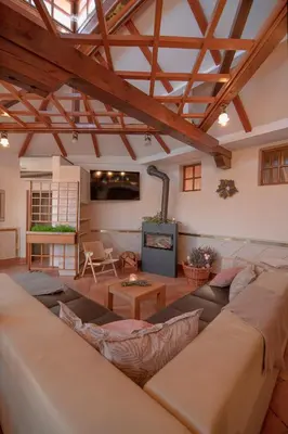 a living room with a large couch and a fireplace at Apartment Ana - Karst Cycling Paradise in Dutovlje