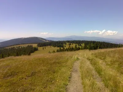 a dirt road in a field with mountains in the background at Apartmaji Snežinka Kope in Slovenj Gradec