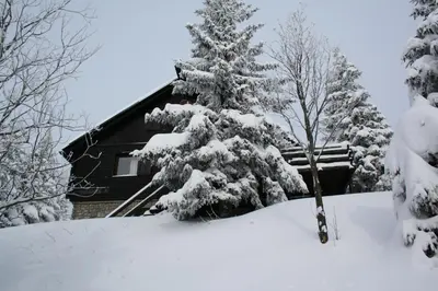 a snow covered tree in front of a house at Apartmaji Snežinka Kope in Slovenj Gradec