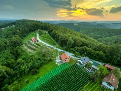 an aerial view of a vineyard with houses and a road at Vineyard cottage Matej in Trebnje