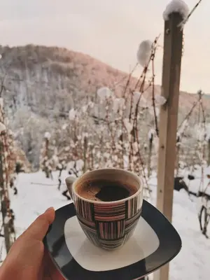 a person holding a cup of coffee on aucer at Vineyard cottage Matej in Trebnje
