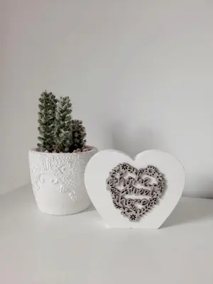 two white hearts and a cactus on a shelf at Alpine Relax Bovec in Bovec