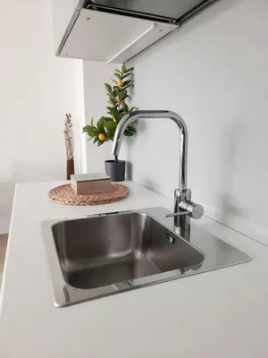 a stainless steel sink in a kitchen with a plant at Alpine Relax Bovec in Bovec