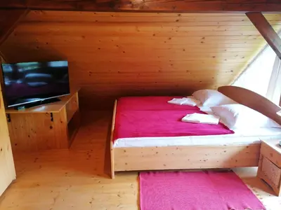 a small bedroom with a bed and a tv at Holiday house apartment Voukov mlin in Šmarje pri Jelšah